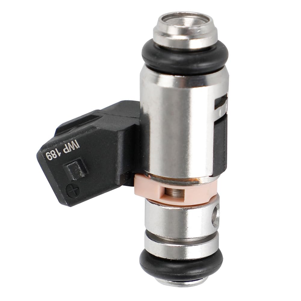 Amazon.com: KACEPAR OEM IWP-189, Fuel Injector, Compatible with